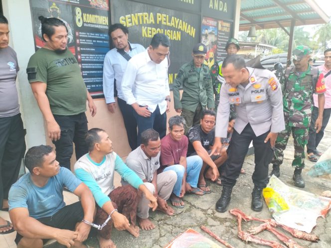 
					Kasus Pembunuhan Harimau Sumatera di Rokan Hulu, Berikut 6 Pelakunya