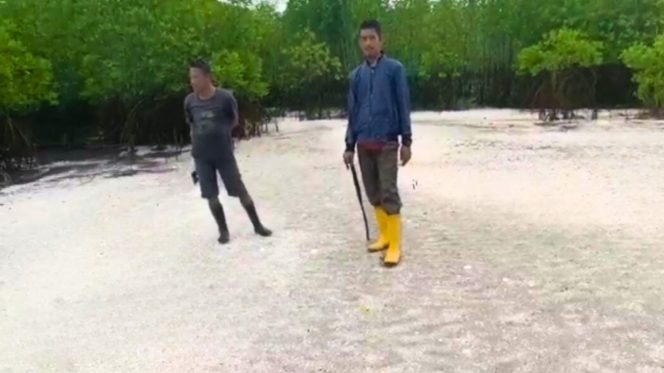
					Kadis Kominfotiks Rohil: Pemkab Segera Kembangkan Wisata Pantai Sungai Sirih, Destinasi Baru yang Menjanjikan